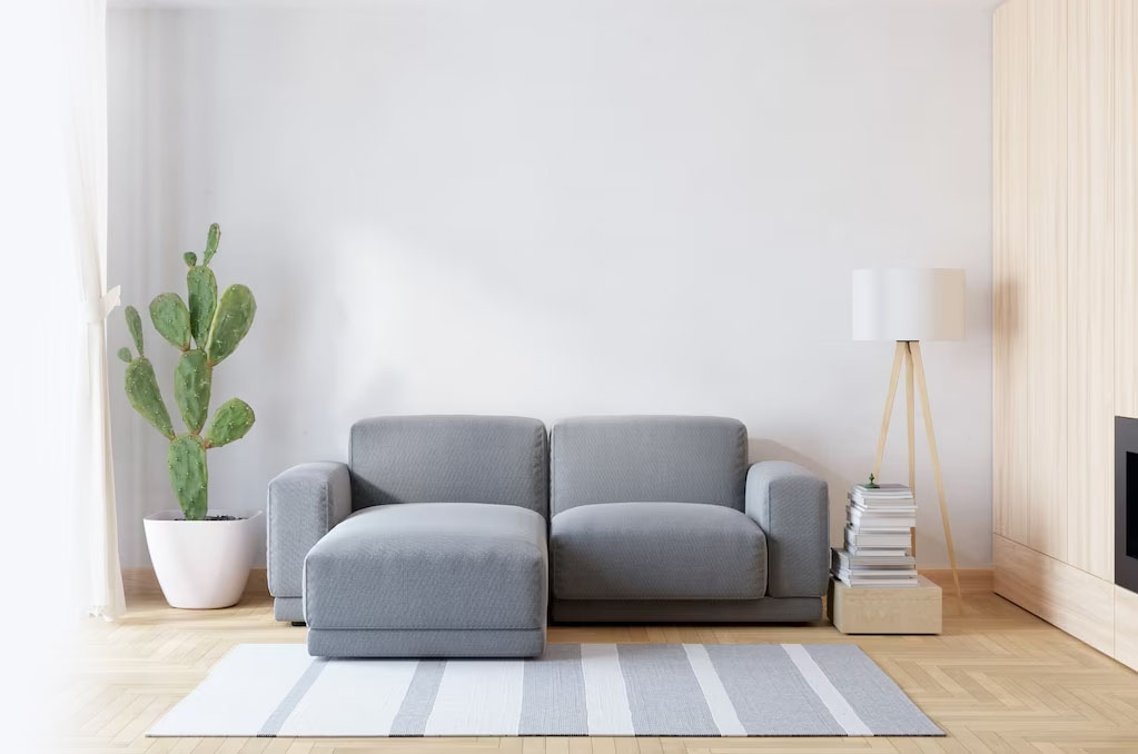 Modern living room with grey couch, cactus plant, floor lamp, and striped rug.